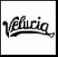 Fostoria Velucia Trademark 1900-1914